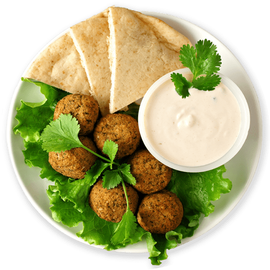 falafel with lavash and cream sauce